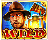 symbol_wild